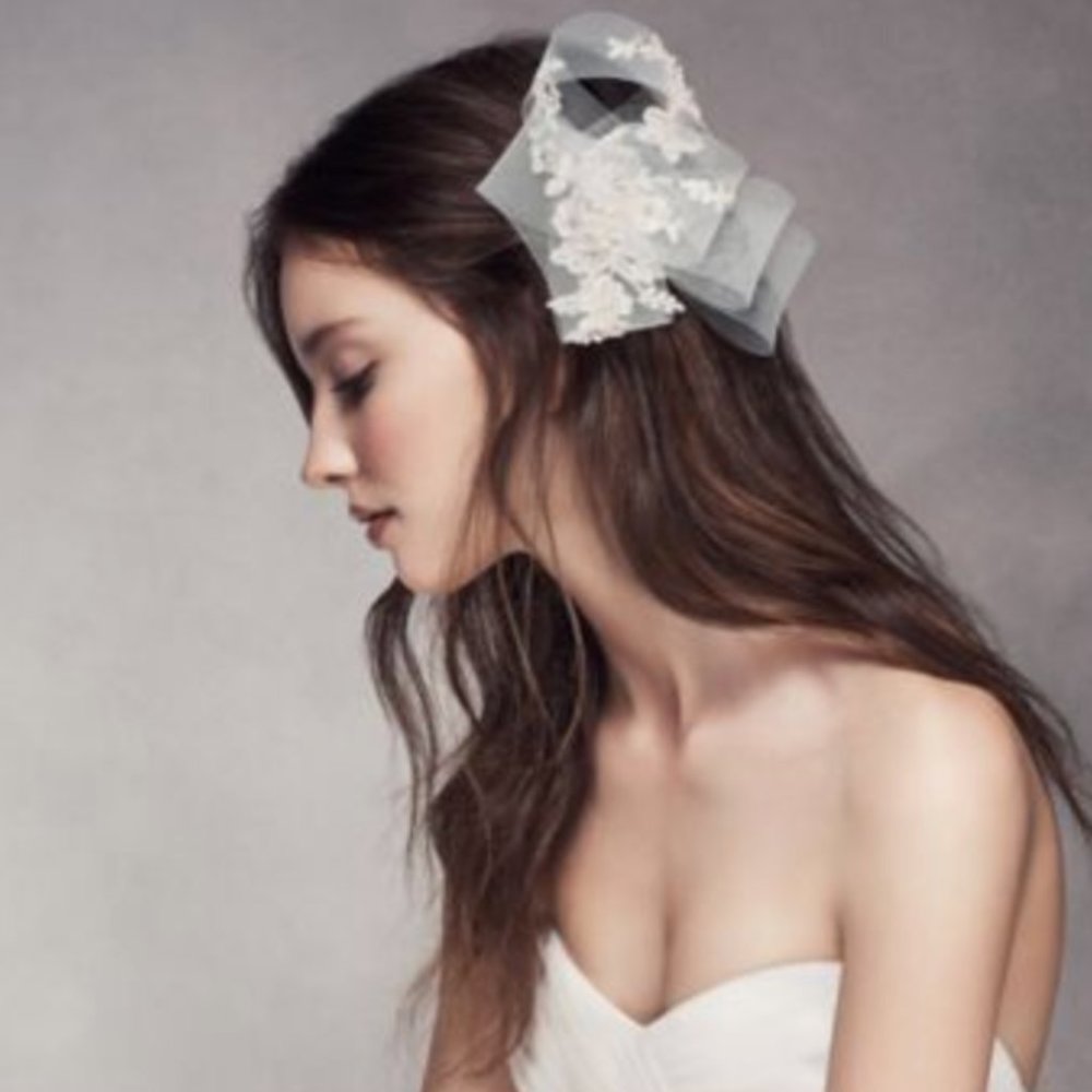White by Vera Wang Lace Horsehair Comb (NWOT)